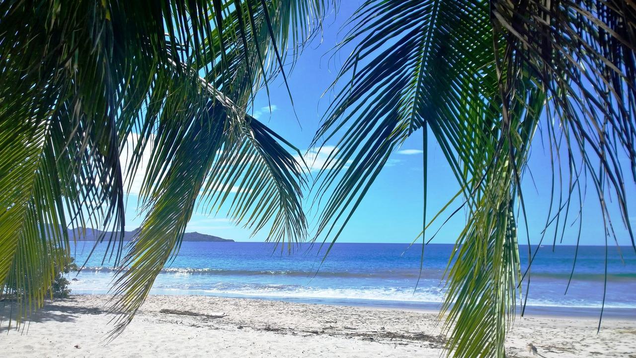 Hotel Guanacaste Lodge Плая Фламинго Екстериор снимка